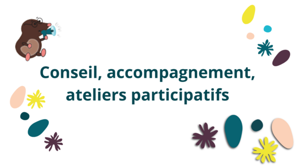 image qui introduit : Conseil, accompagnement, ateliers participatifs
